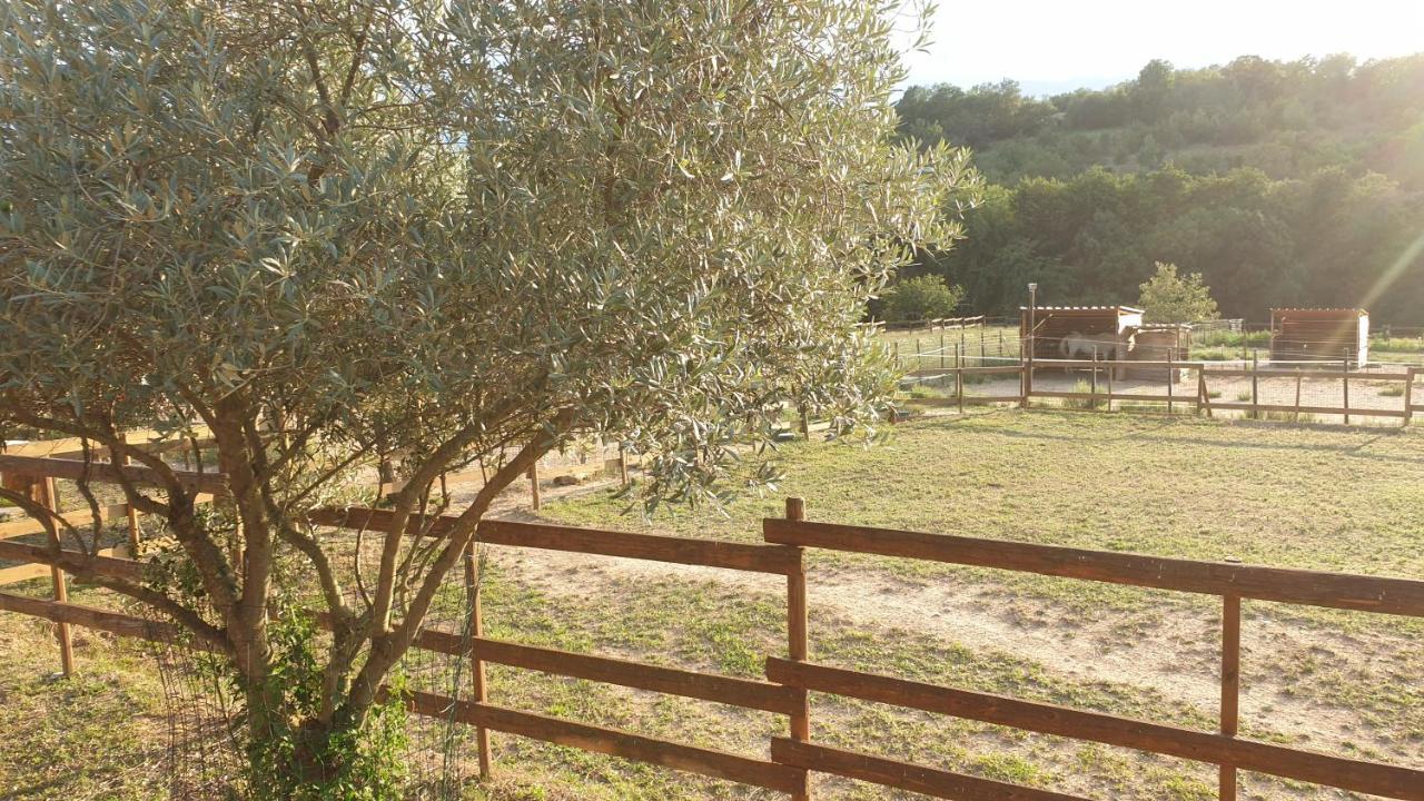 Chambre d'hôtes le petit Ranch Los Masos Extérieur photo