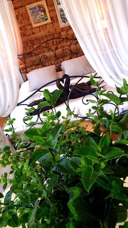 Chambre d'hôtes le petit Ranch Los Masos Extérieur photo